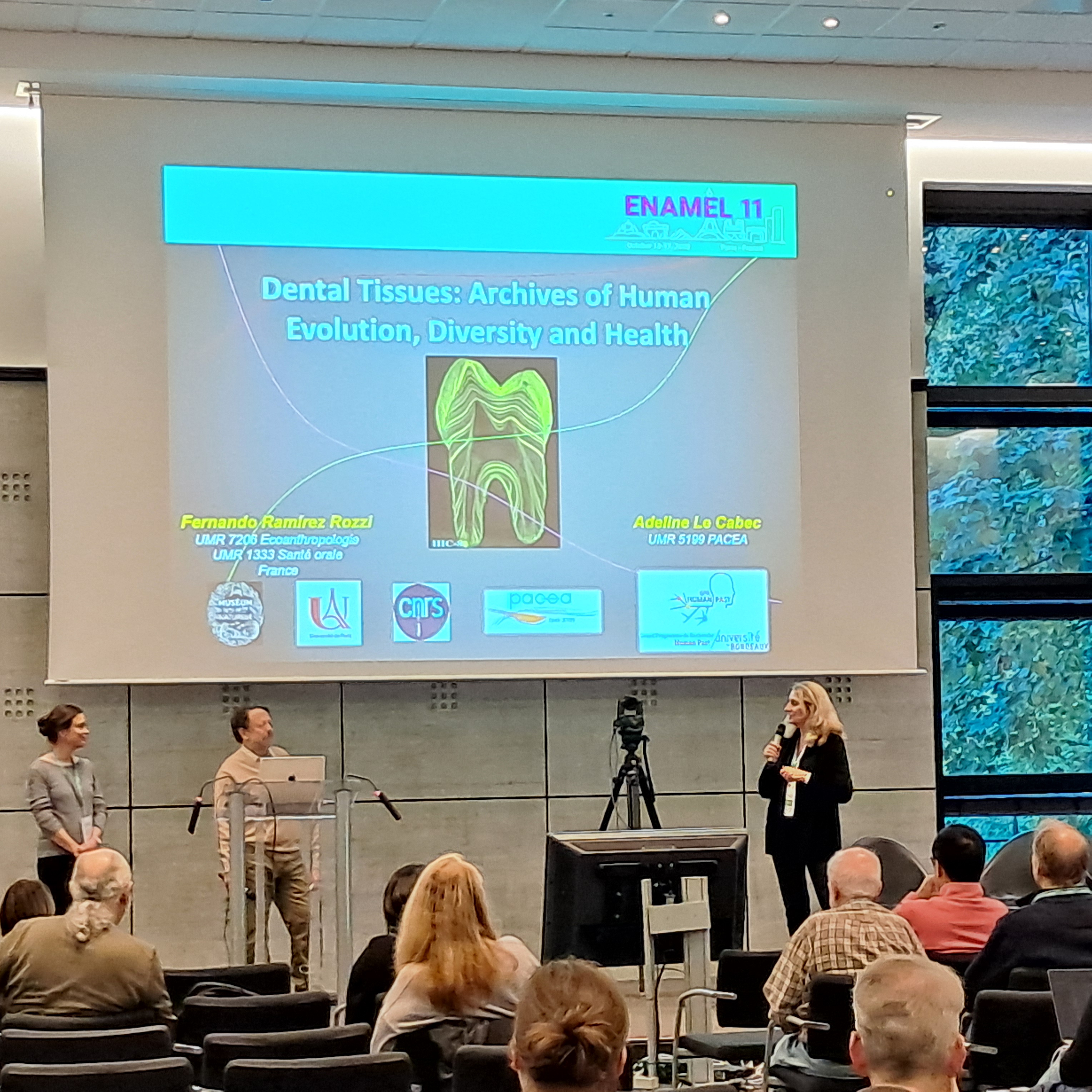 enamel11-paris-2025-conference