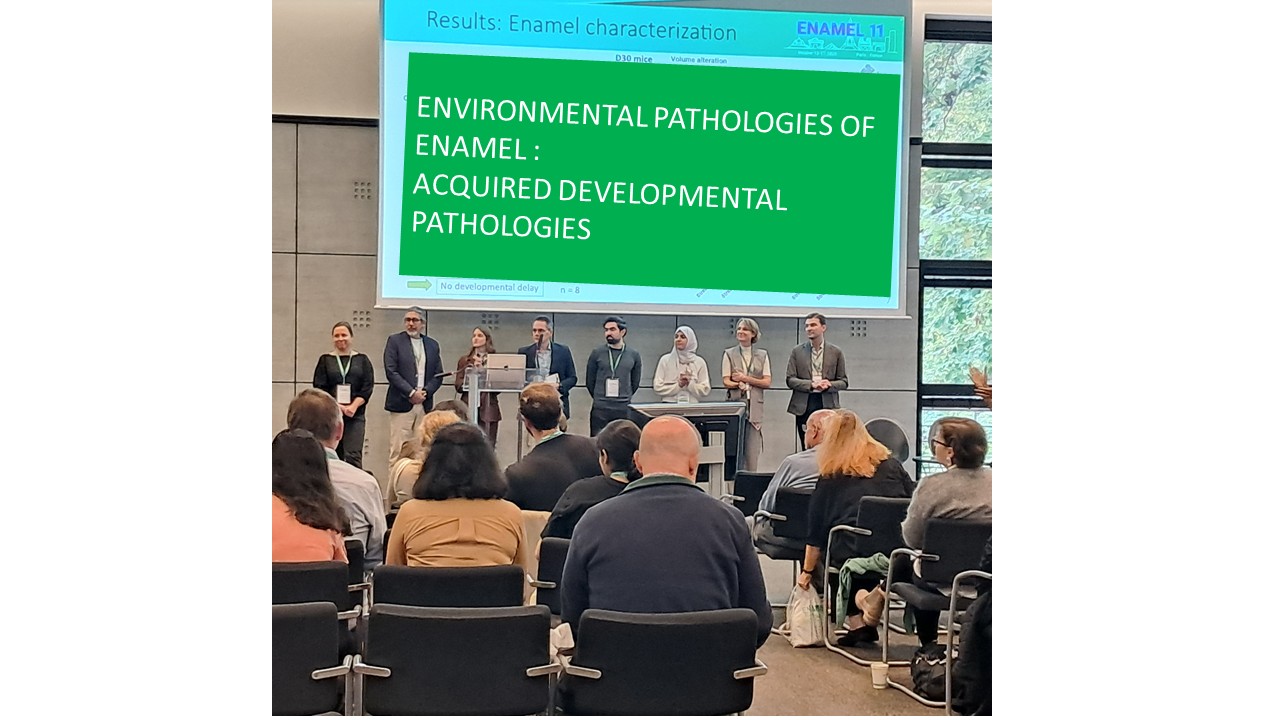 enamel11-paris-2025-enamel-char